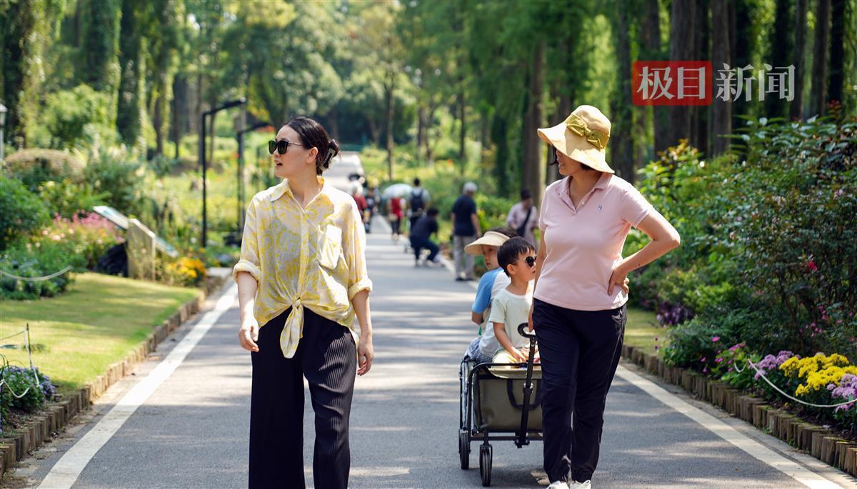 会员鸿运国际手机登录